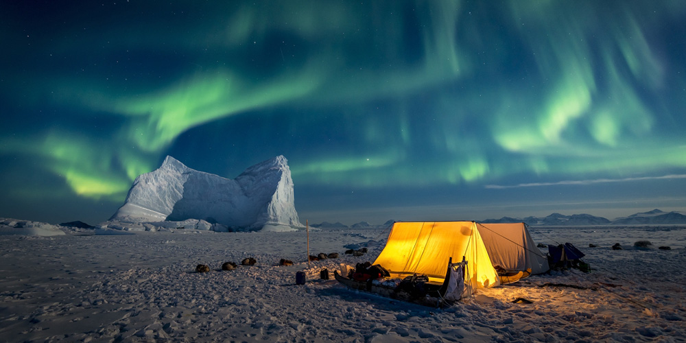 Arctic Biodiversity 