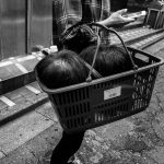 © Tadashi Onishi, Street Photography — Winner (Series), ASPA - Alghero Street Photography Awards