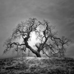 Infrared Silence, © Nathan Wirth, Usa, Honorable Mention, Black & White Photography Awards - Dodho Magazine