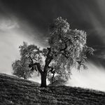 Infrared Silence, © Nathan Wirth, Usa, Honorable Mention, Black & White Photography Awards - Dodho Magazine