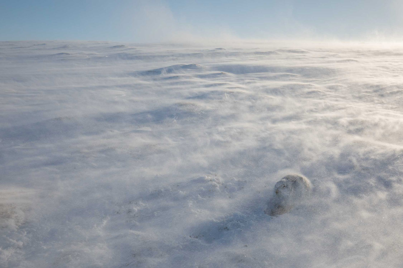 Spectacular isolation. Cairngorms National Park, Scotland, © Andrew Parkinson, British Wildlife Photography Awards