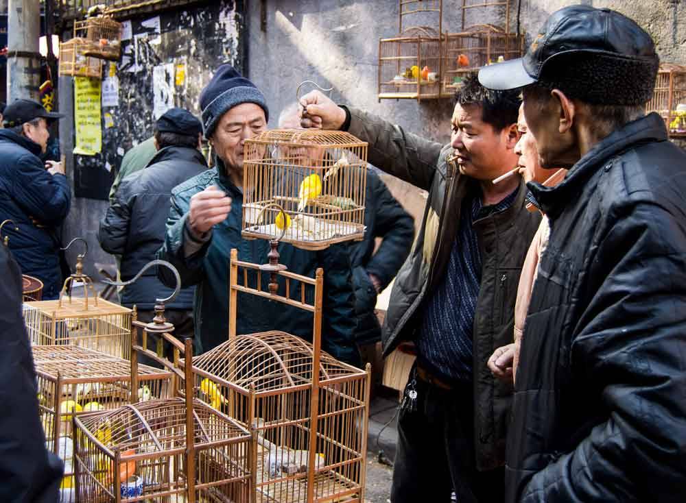 © Rachel Prout, 0600 Hourly Runner Up. The Bird, Photo Location: X'ian, China, CBRE Urban Photographer of the Year