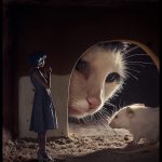 Through the Mouse Hole, © Gavin Smart, 1st Place Winner Open Theme professional, Fine Art Photography Awards