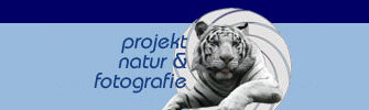 Glanzlichter International Competition of Nature-Photography