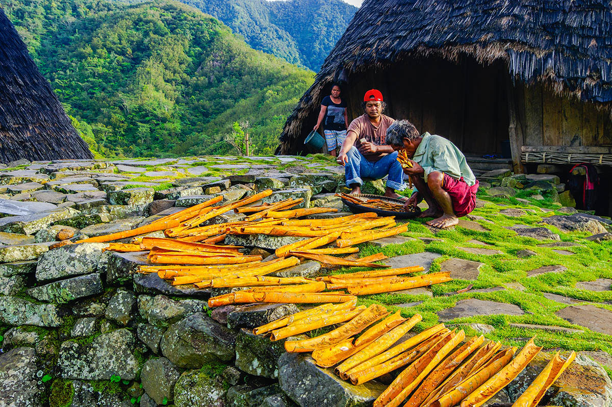 The Cinnamon Farmer, © Suwandi Chandra, 3rd place, International Garden Photographer of the Year — IGPOTY