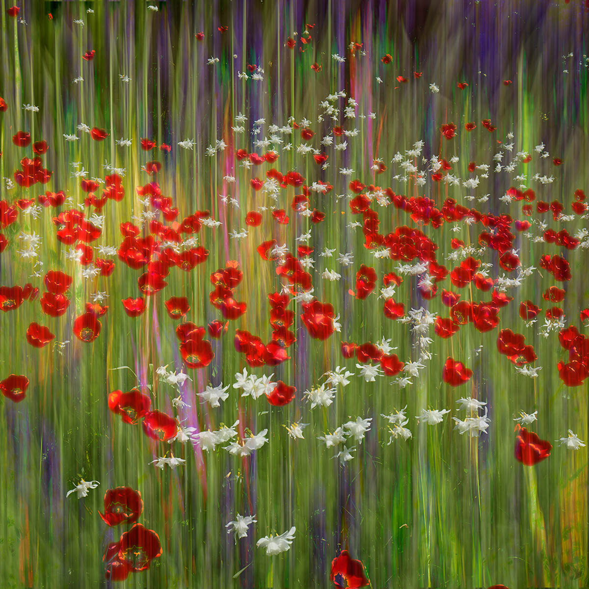 Floral Dreams, © Greg Vivash, 3rd place, International Garden Photographer of the Year — IGPOTY
