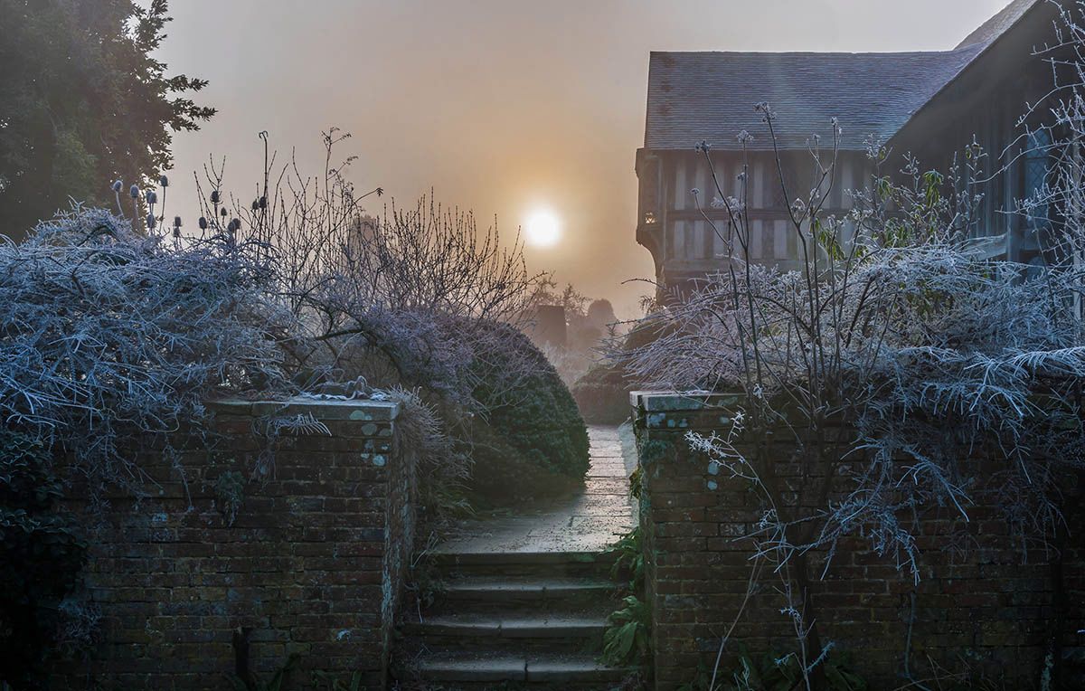 Midwinter, © John Glover, 3rd place, International Garden Photographer of the Year — IGPOTY