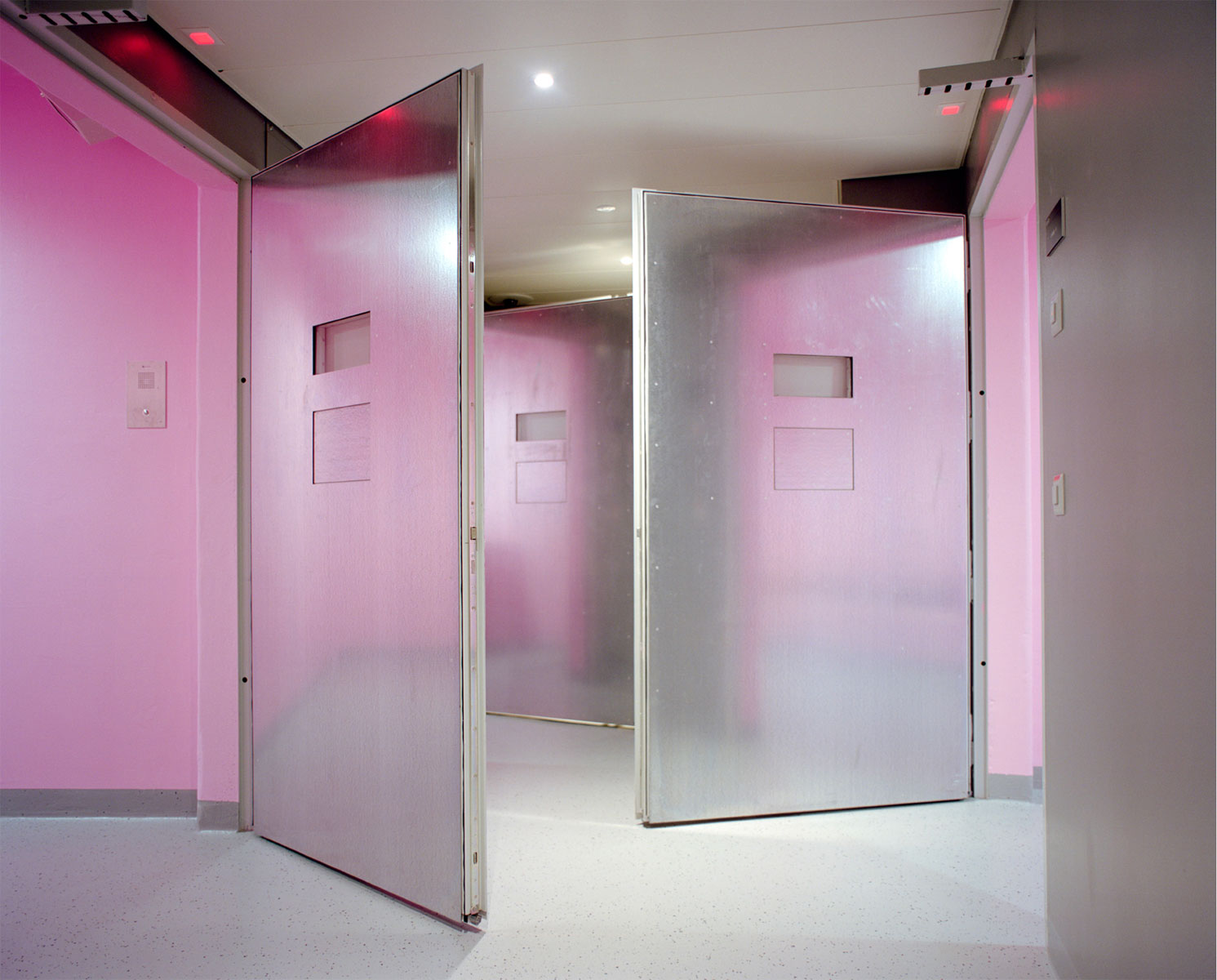 Pink Cells, © Angélique Stehli (Suisse), Mention Lumière Broncolor, The Grand Prix Images Vevey