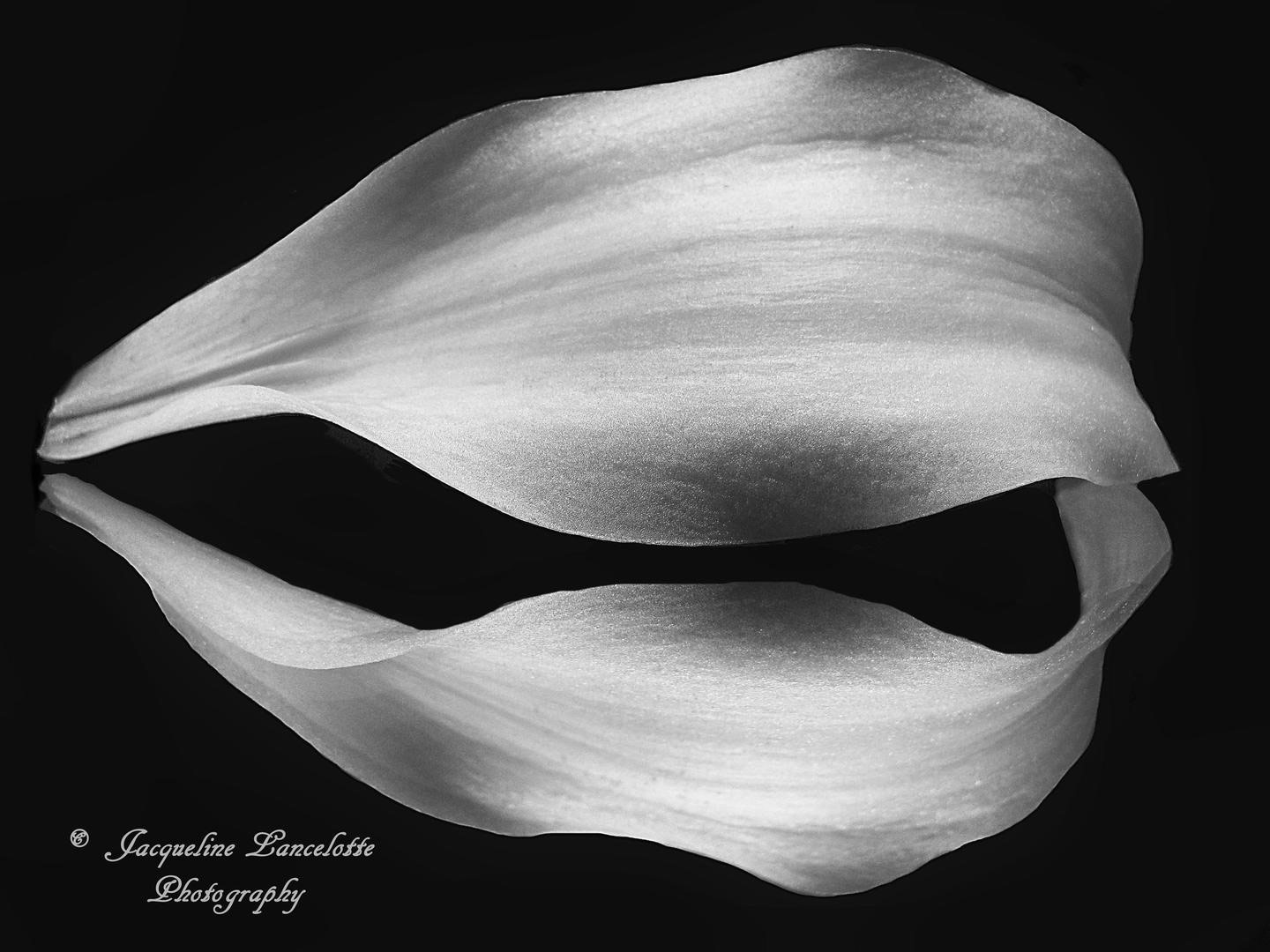 © Jacqueline Lancelotte, PDN In Black and White