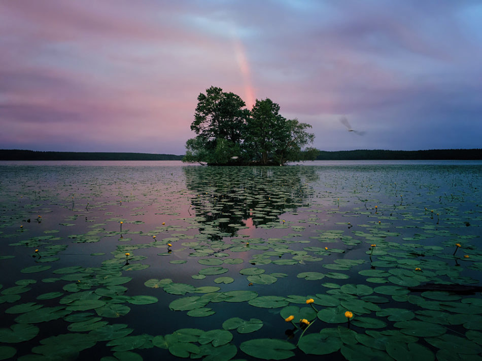 © Aaron Sandberg, Chicago IL, United States, 1st Place – Nature, IPPAWARDS — iPhone Photography Awards