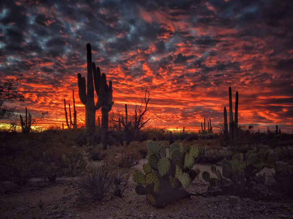© Joseph Cyr, Tucson AZ, United States, 3rd Place – Sunset, IPPAWARDS — iPhone Photography Awards