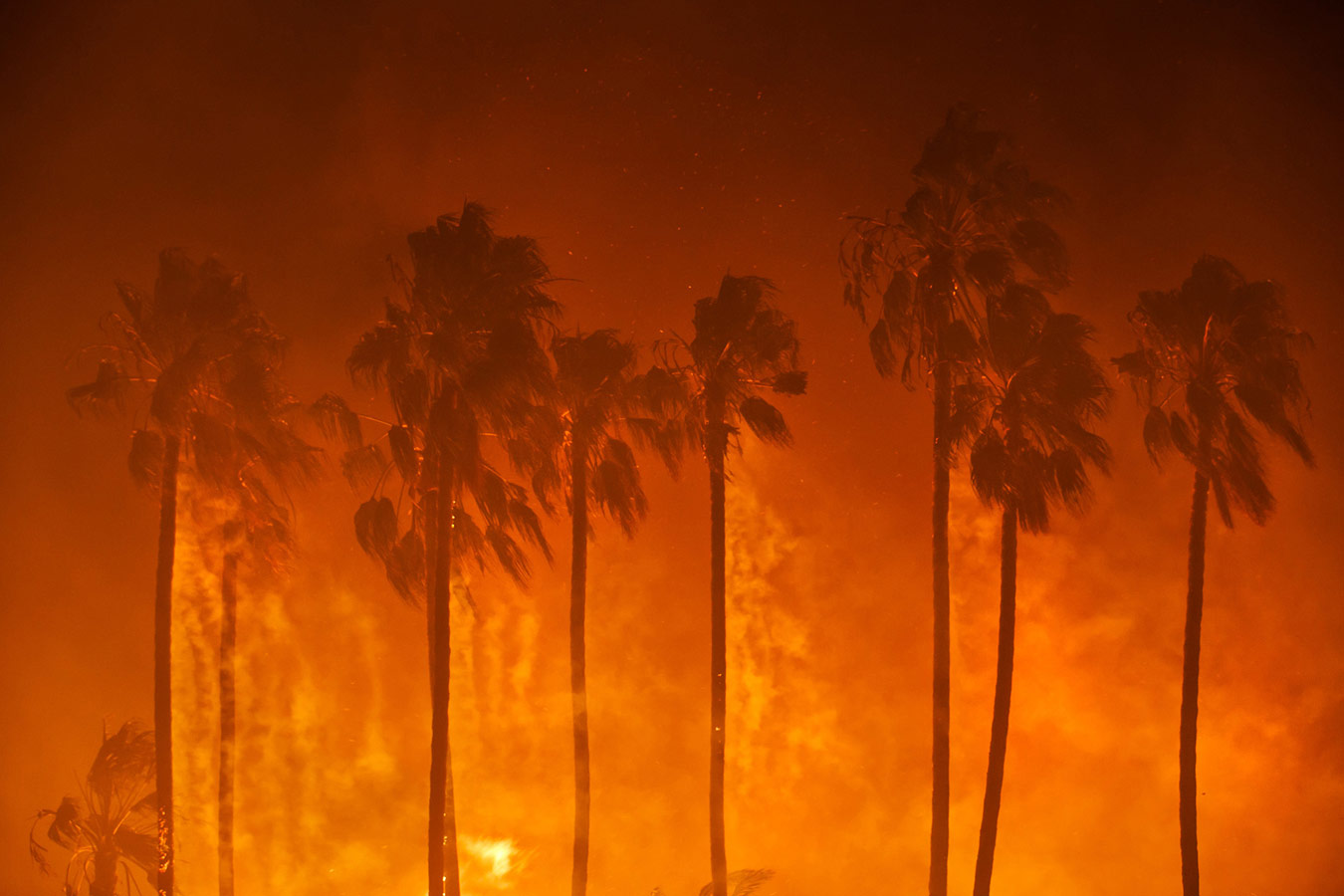 California Burns, © Marcus Yam / Los Angeles Times, United States, Story Nature & Environment 1st Prize, Istanbul Photo Awards
