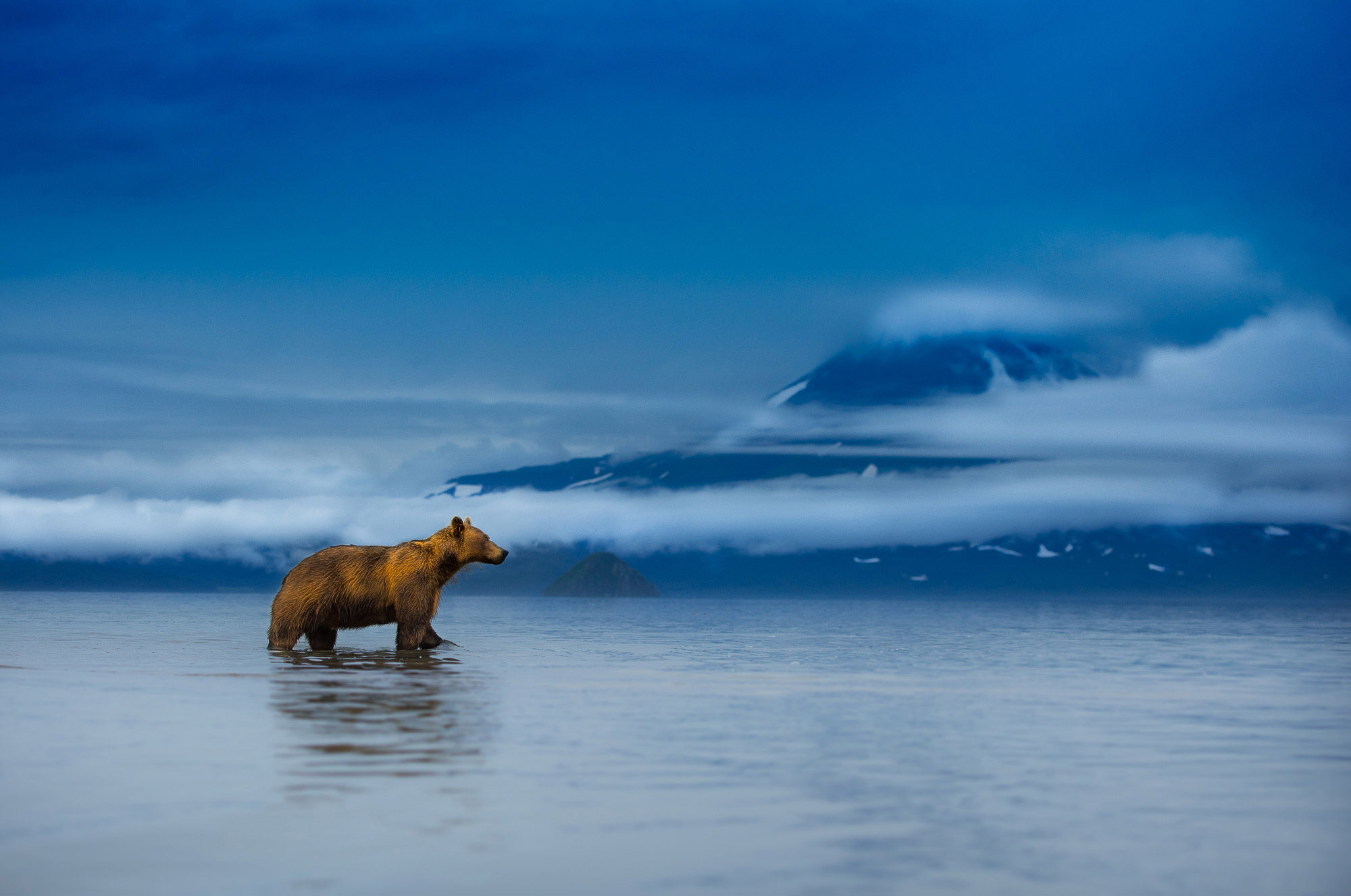 In Paradise, Kamchatka, Russia, © Thomas Vijayan, Dubai, United Arab Emirates, Highly Honored Wildlife, Nature's Best Photography Asia
