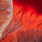 Bleeding Tears, © Yi Sun, United Kingdom, ND Nature Photographer of the year 2017, ND Awards Photo Contest