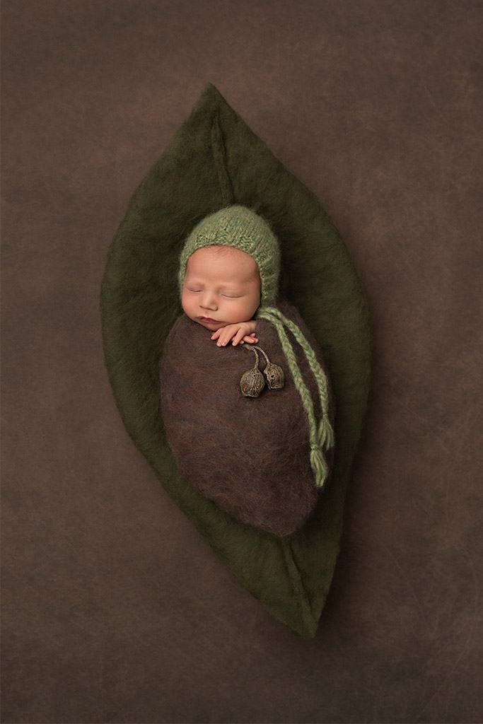 Gumnut Baby, © Sarah Gage, Australia, Newborns Photo Contest