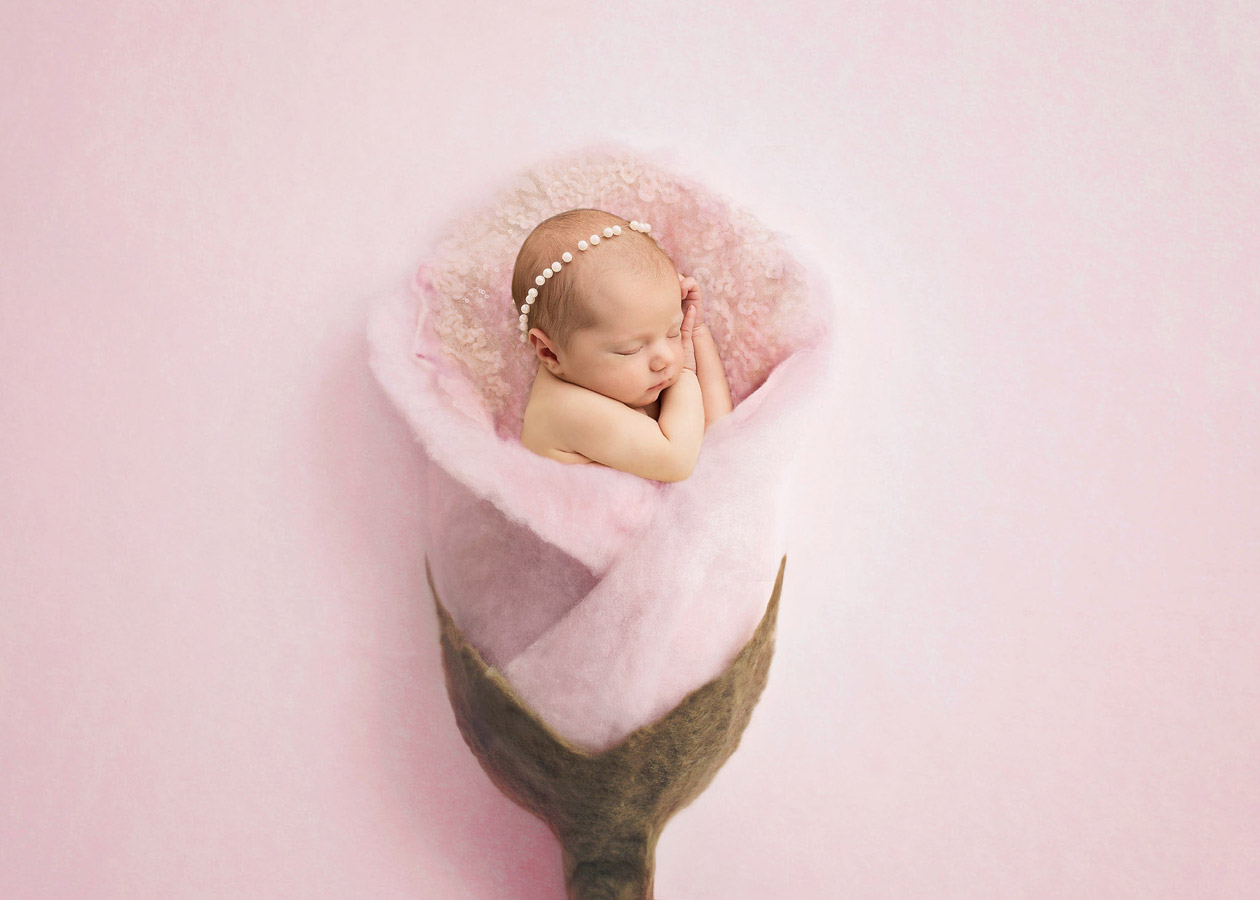Rosy tulip, © Dominika Skrzypek, Newborns Photo Contest