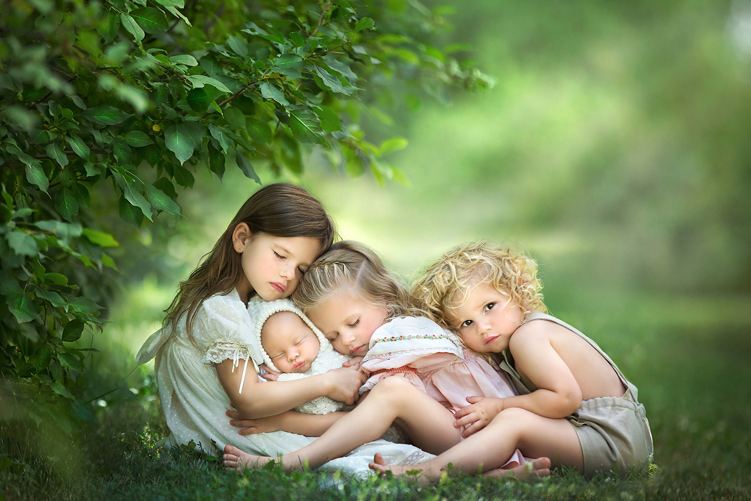Then there were four, © Cassandra Jones, Canada, Newborns Photo Contest