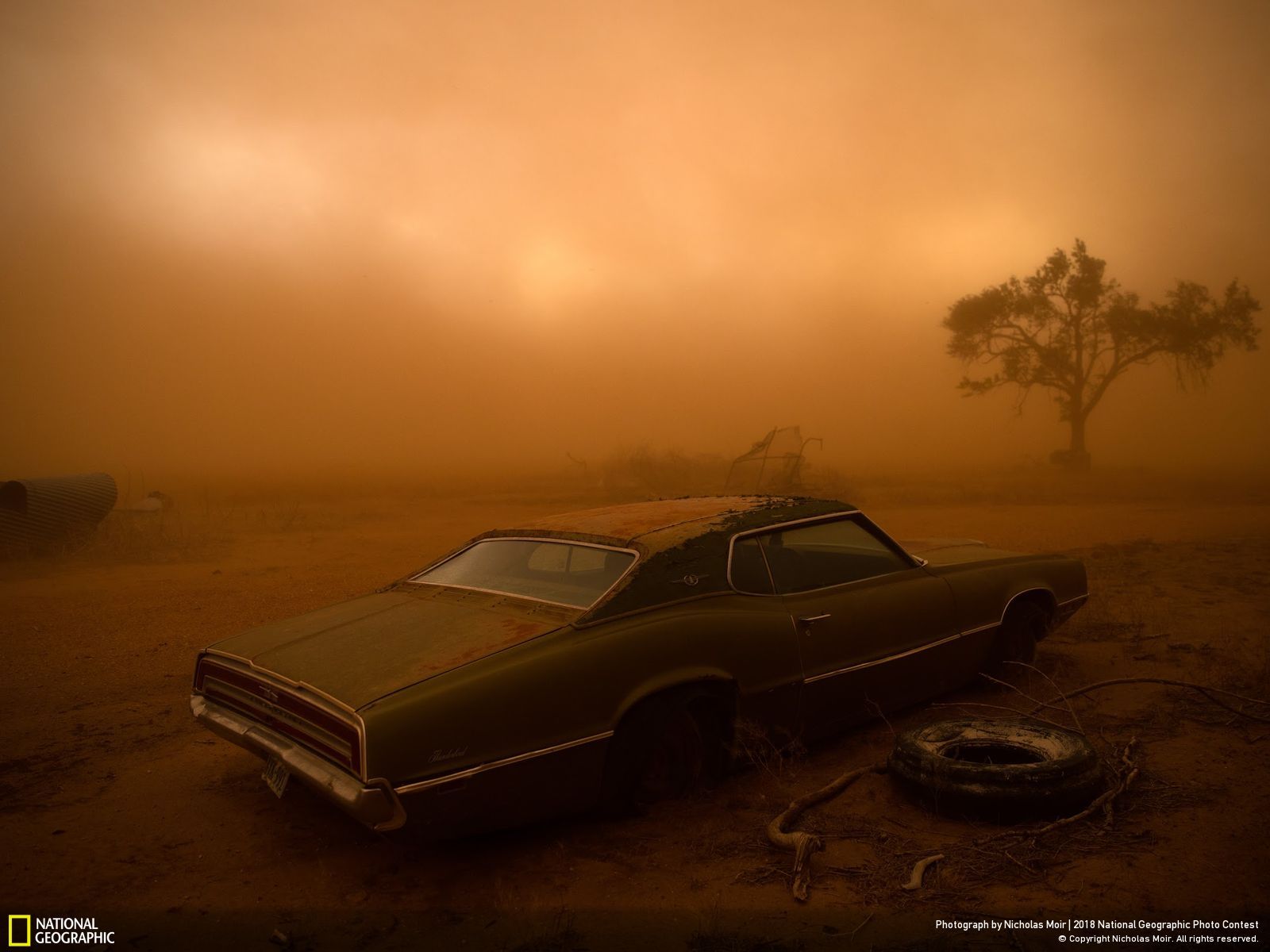 Thunderbird in the Dust, © Nicholas Moir, Second Place, Places, National Geographic Photo Contest