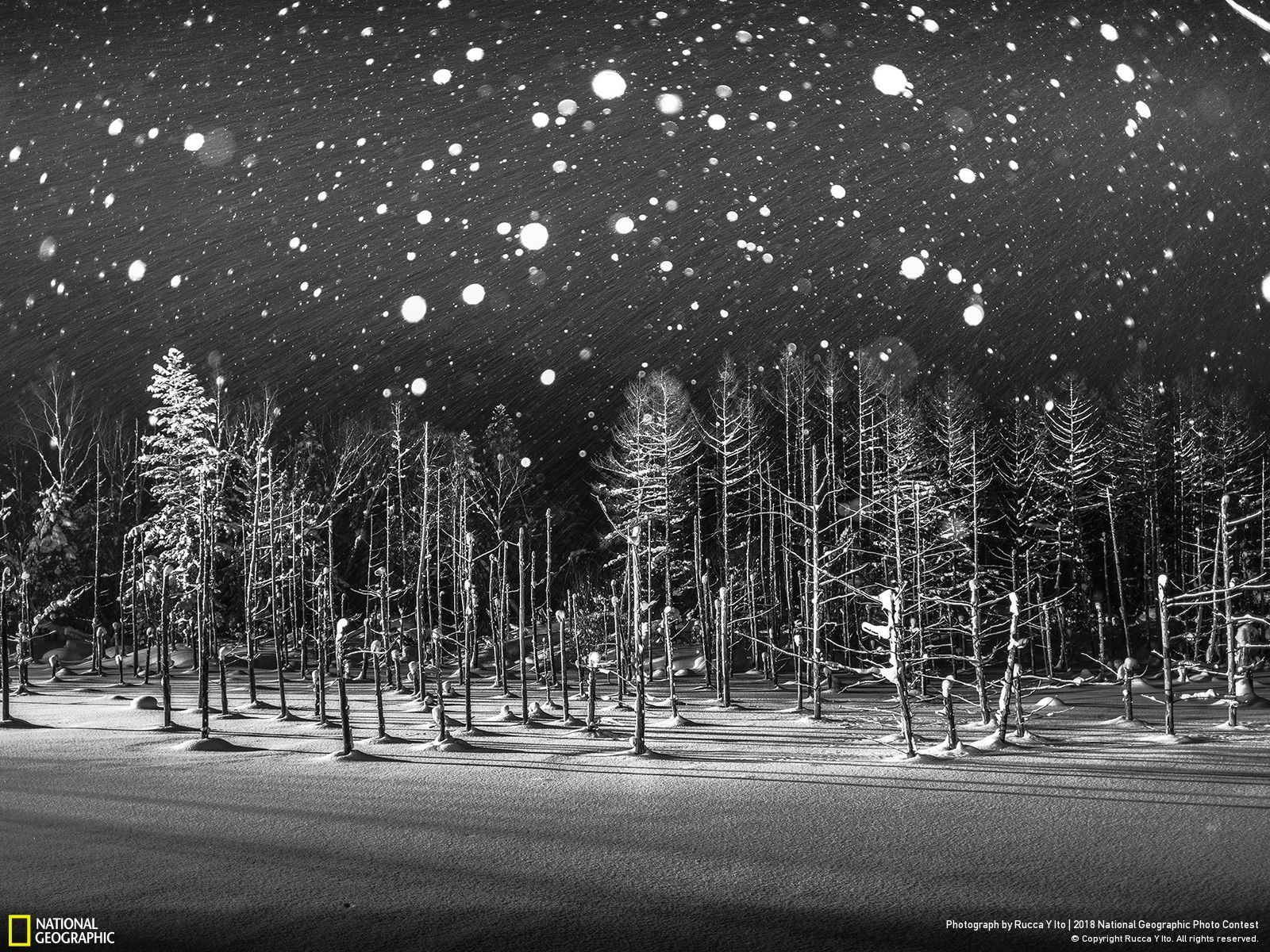 Snowflakes, © Rucca Y Ito, Honorable Mention, Places, National Geographic Photo Contest
