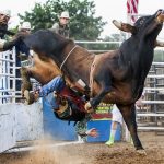 “Rodeo”, © Casey Martin, Gettysburg, PA, United States, People's Choice : First Deadline Winner, PDN Adrenaline 2019 - Sports and Action Photography
