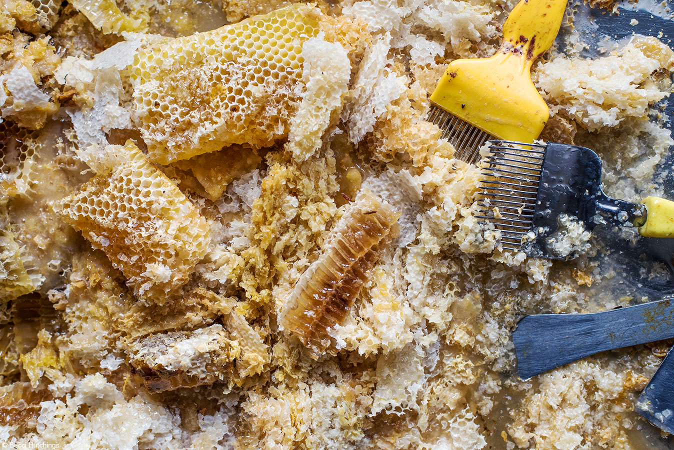 Honeycomb and Wax, © Becci Hutchings, United Kingdom, 1st Place, Student Food Photographer of the Year, Pink Lady Food Photographer of the Year