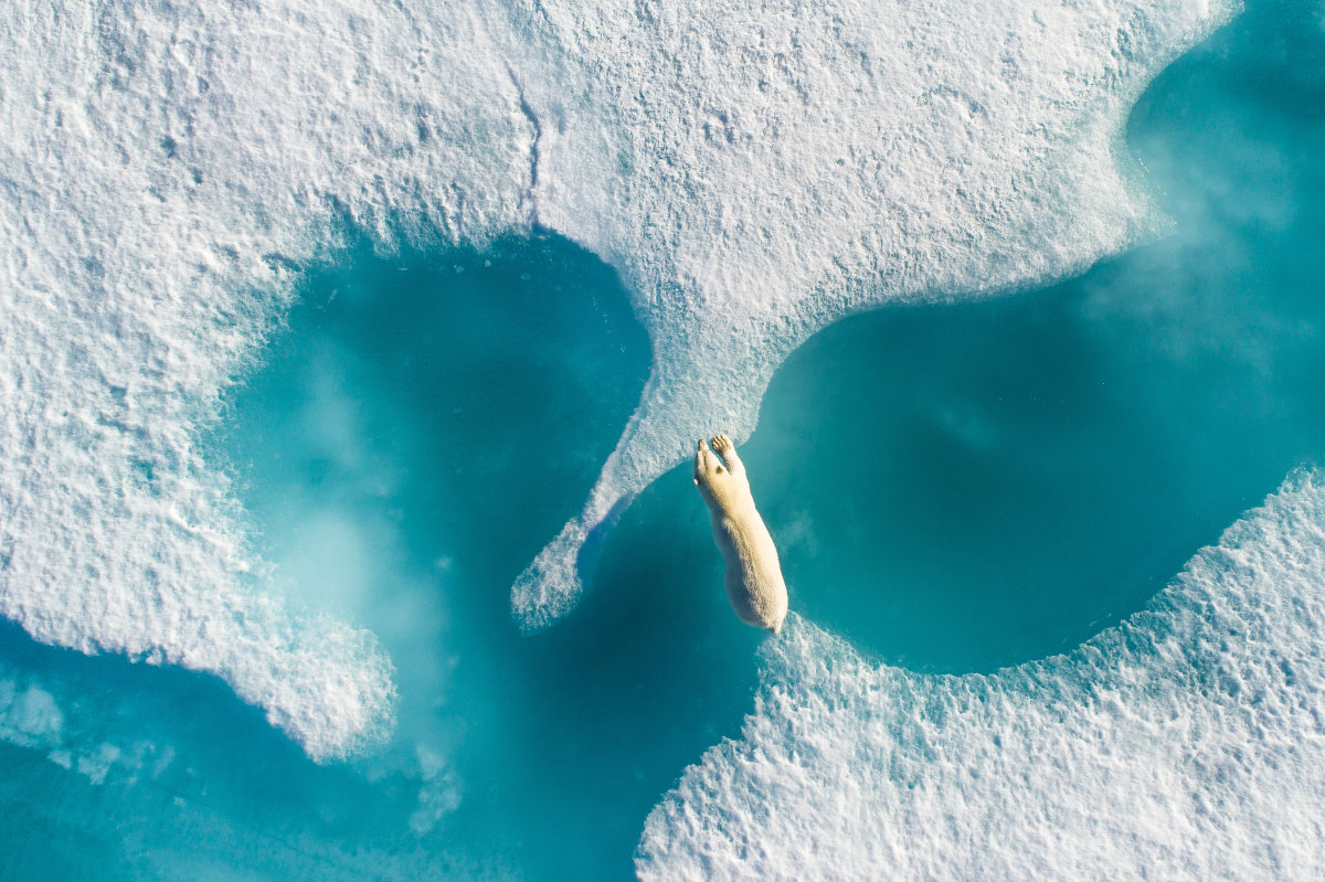 Above the polar bear, © Florian Ledoux, Grand Prize, The 2017 SkyPixel Photo of the Year, SkyPixel Photo Contest