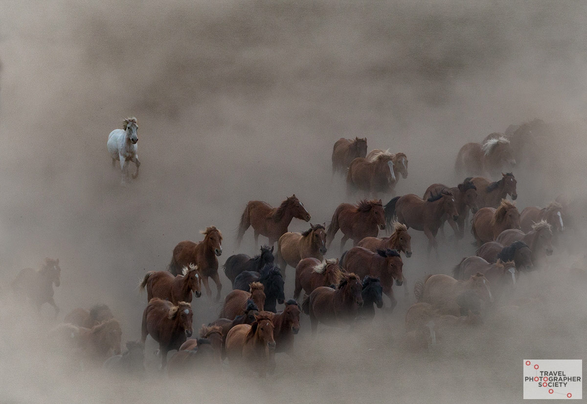 Piercing The Dusty Plains, © Trish Edwards, Inner Mongolia, 2nd Runner Up, Travel Photographer Society Moments Winner
