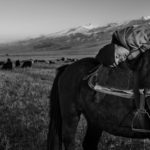 Horse Head, © Frederik Buyckx, ZEISS Photography Award 2017 Winners